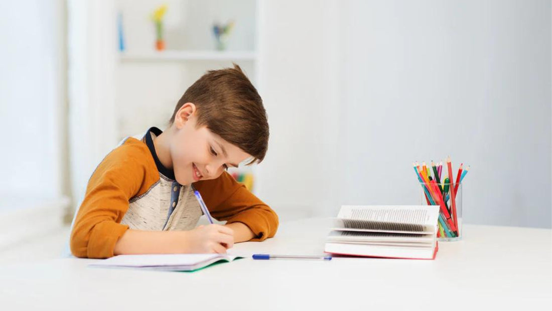 photo of a kid writing on his kid's journal